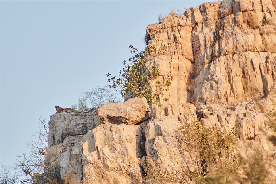 India, In het rijk van de tijger, foto 6 van 6