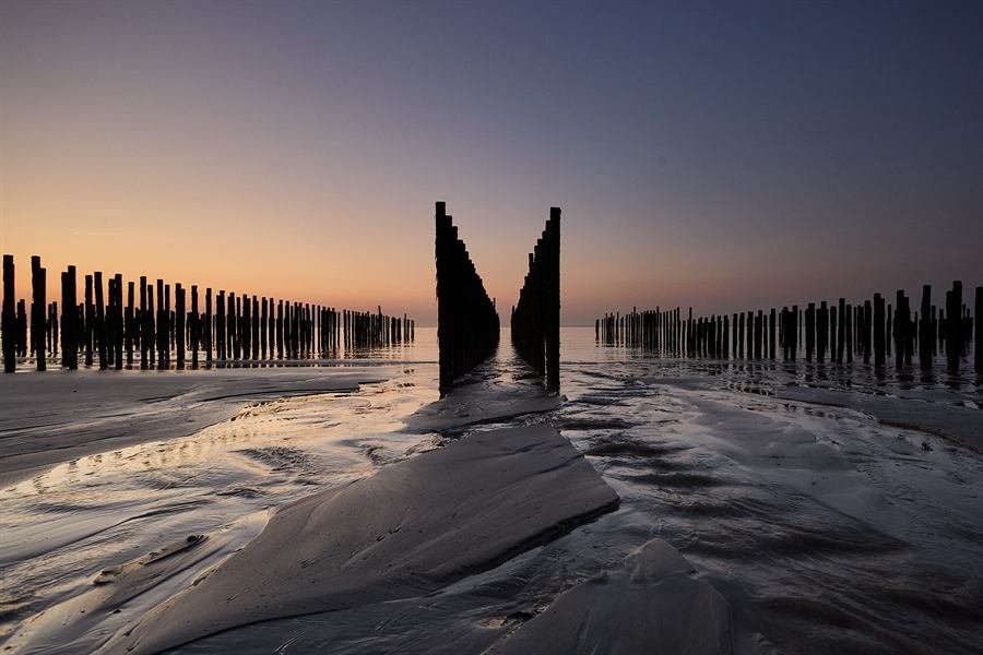 Whispers of the Horizon, uit Opaalkust