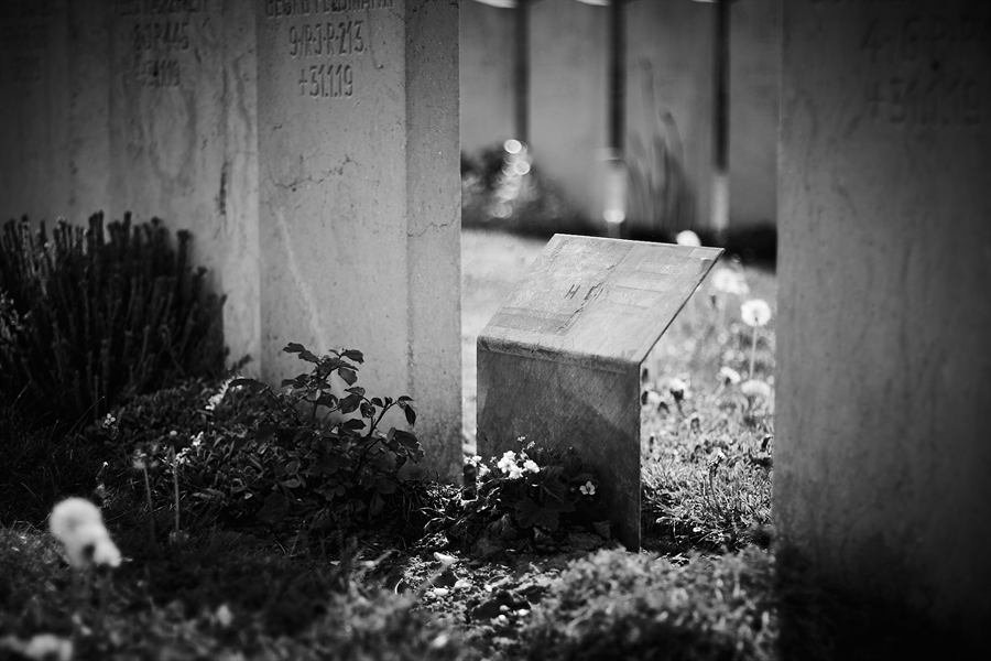 Opaalkust, foto 16 van 16