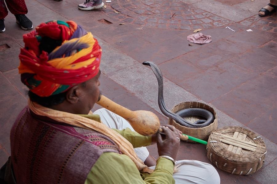 India, Tussen rust en chaos, foto 22 van 31